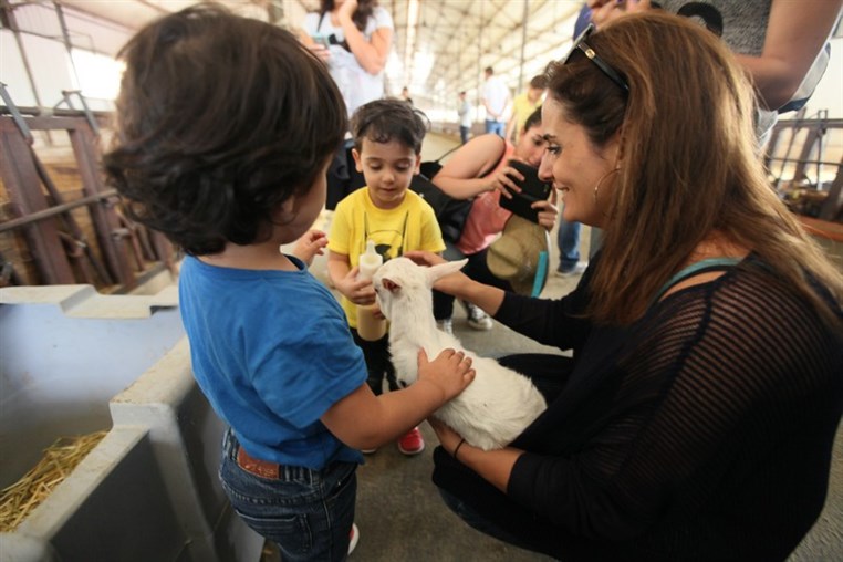 Dairy Khoury Farm Gates Opening
